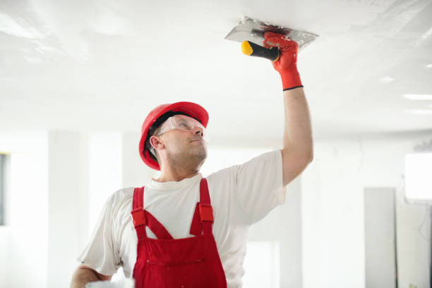 Best Attic Mold Removal  in Dexter, MI